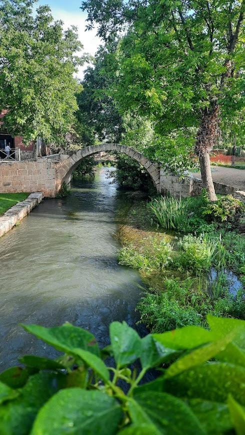 Aromas Del Jiloca, Tierra De Trufas Daire Calamocha Dış mekan fotoğraf